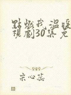 点燃我温暖你电视剧30集免费观看