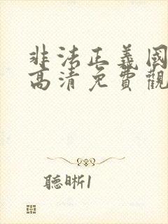 非法正义国语版高清免费观看封面