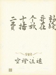 二十个哥动漫免费播放在线观看封面