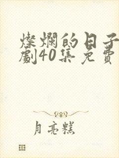 灿烂的日子电视剧40集免费观看封面