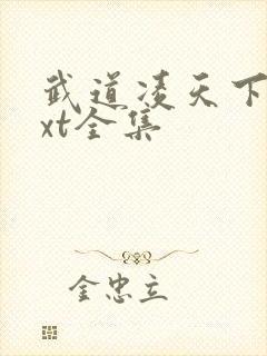 武道凌天下载txt全集