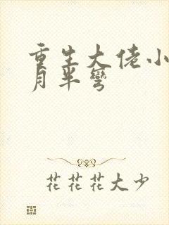 重生大佬小祖宗月半弯