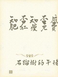 知否知否应是绿肥红瘦免费高清观看