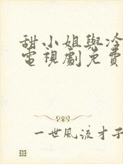 甜小姐与冷先生电视剧免费观看