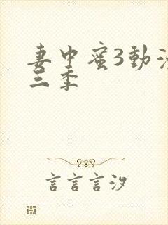 妻中蜜3动漫全三季封面