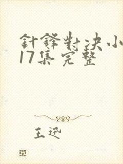 针锋对决小说第17集完整