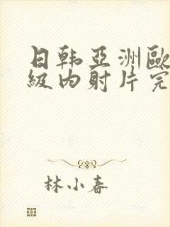日韩亚洲欧美一级内射片完整