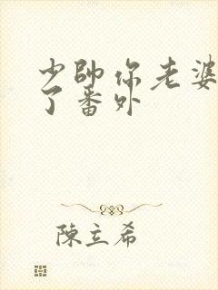 少帅你老婆又跑了番外