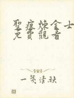 圣痕炼金士在线免费观看