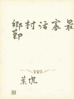 乡村活寡最新章节