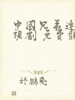 中国兄弟连 电视剧 免费观看