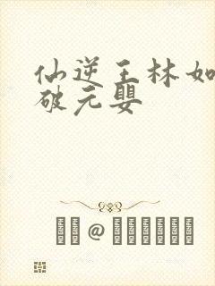 仙逆王林如何突破元婴