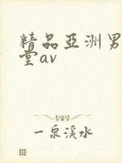 精品亚洲男人天堂av