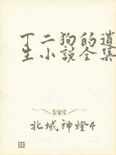 丁二狗的逍遥人生小说全集txt