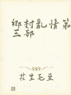 乡村乱情第二十三部