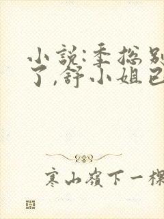 小说:季总别虐了,舒小姐已嫁人