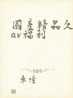 国产精品久久久av福利