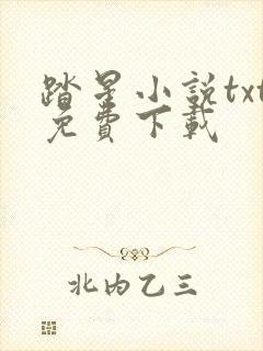 踏星小说txt免费下载