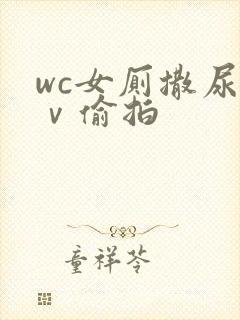 wc女厕撒尿七ⅴ偷拍