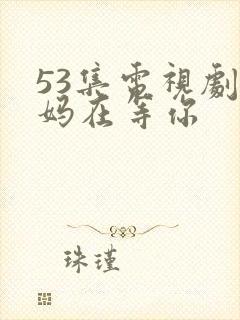 53集电视剧妈妈在等你