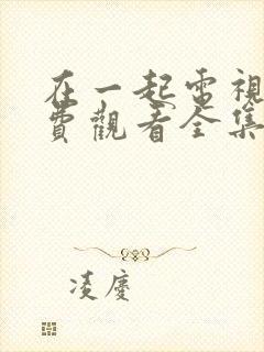 在一起电视剧免费观看全集完整版