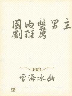 国内双男主电视剧推荐