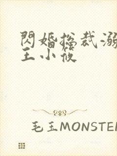 闪婚总裁溺宠妻王小筱封面