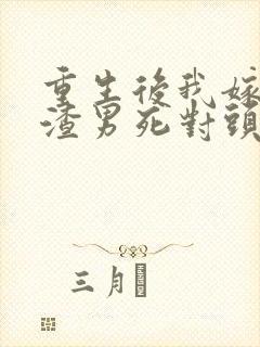 重生后我嫁给了渣男死对头