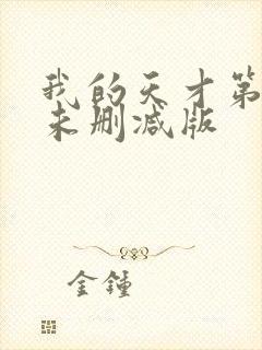 我的天才第二季未删减版封面