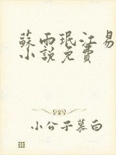 苏雨珉江易淮的小说免费