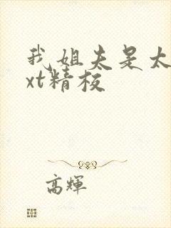 我姐夫是太子txt精校封面