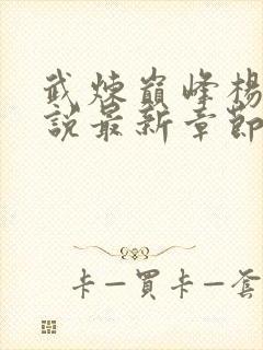 武炼巅峰杨开小说最新章节列表