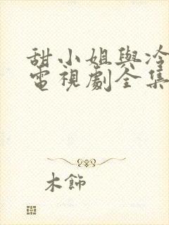 甜小姐与冷先生电视剧全集免费看