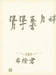 狠狠五月婷婷六月丁香