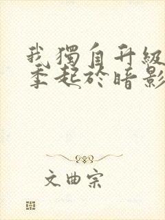 我独自升级第二季起于暗影观看