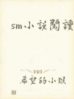 sm小说阅读