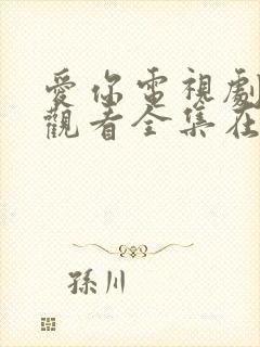 爱你电视剧免费观看全集在线播放免费