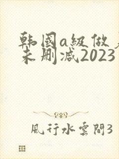 韩国a级做爰片未删减2023