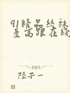 91精品丝袜国产高跟在线