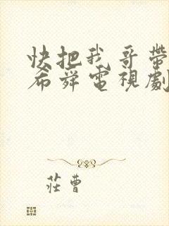 快把我哥带走曾希舜电视剧