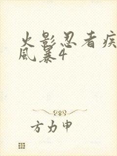 火影忍者疾风传风暴4