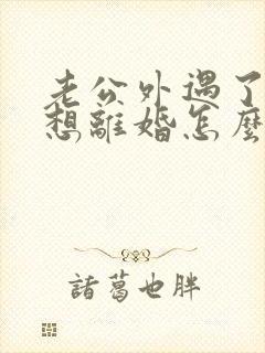 老公外遇了我不想离婚怎么办封面