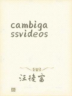 cambigassvideos封面