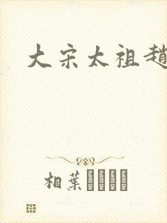 大宋太祖赵匡胤