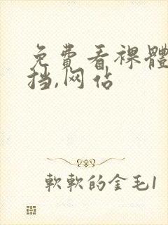 免费看裸体无遮挡,网站