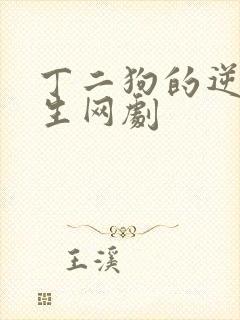 丁二狗的逆袭人生网剧