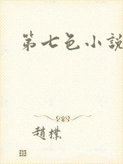 第七色小说封面