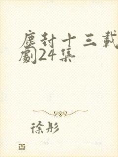 尘封十三载电视剧24集封面