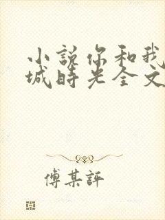 小说你和我的倾城时光全文免费阅读