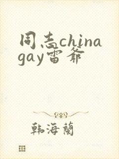 同志chinagay雷爷封面